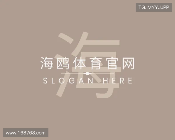 发现海鸥体育官网